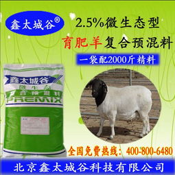 营养高的育肥羊饲料 育肥羊饲料见效快的 育肥羊饲料添加剂